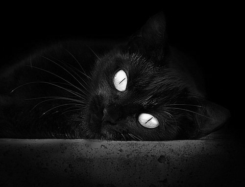 里程碑背后的故事,基米希在南非对阵马里比赛中的蜕变