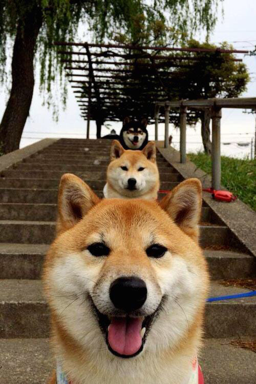 从摩纳哥到慕尼黑,足球战术的边际革命与新中场叙事