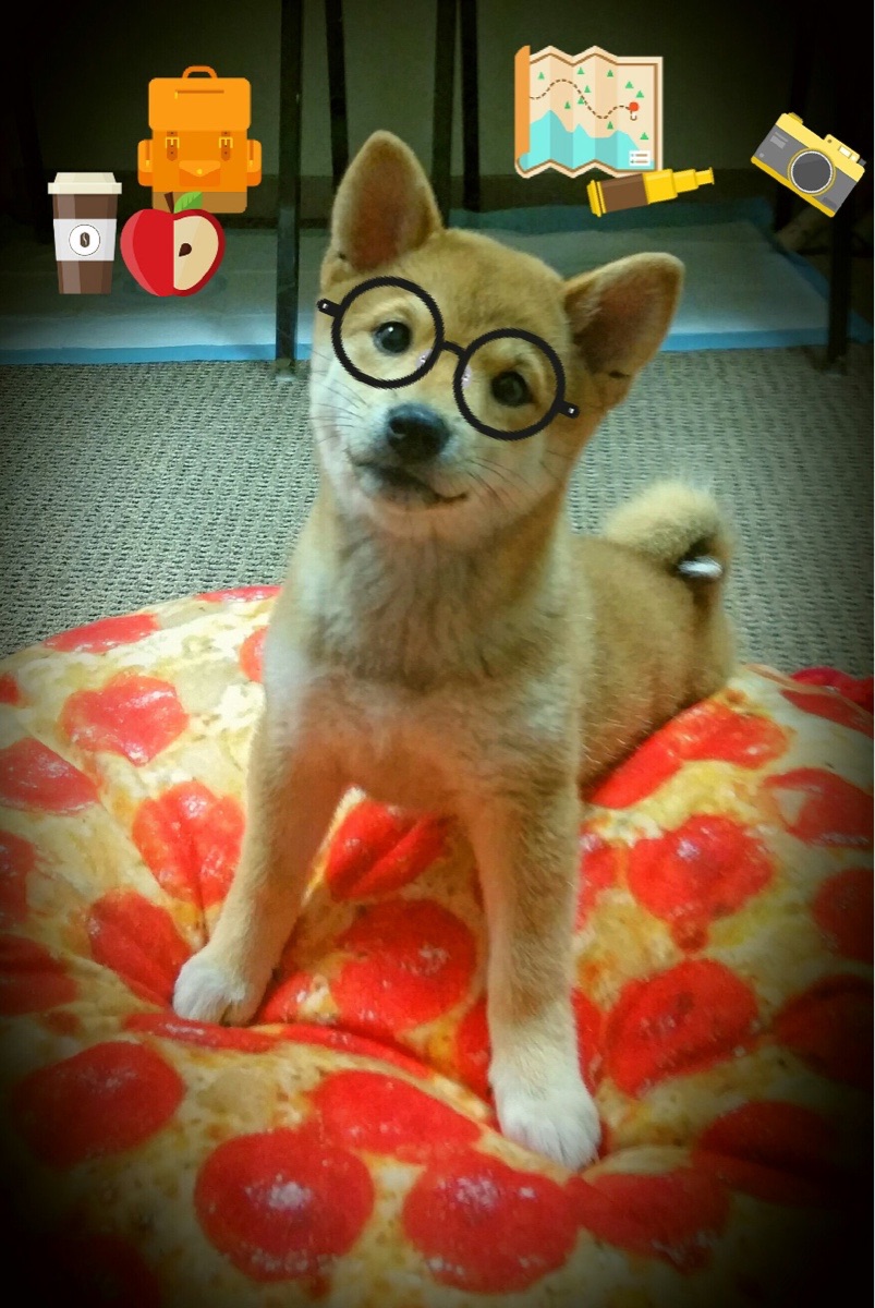 孤狼觉醒,当乔治的怒吼撕碎活塞,冠军基因正在明尼苏达扎根