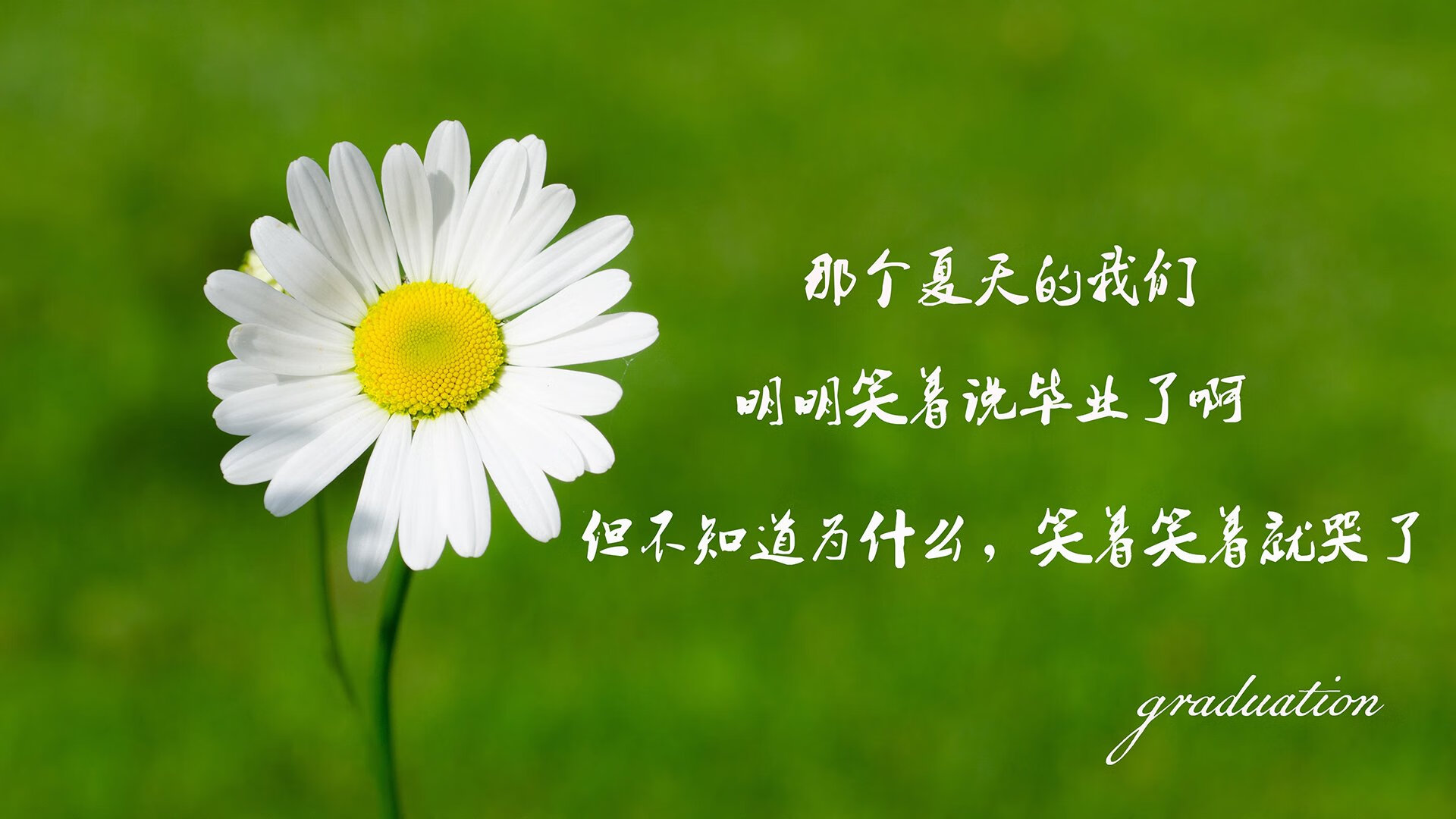 暗黑森林狼制霸辽宁！范弗利特在排名争夺战接管比赛